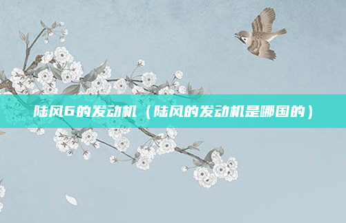 陆风6的发动机（陆风的发动机是哪国的）