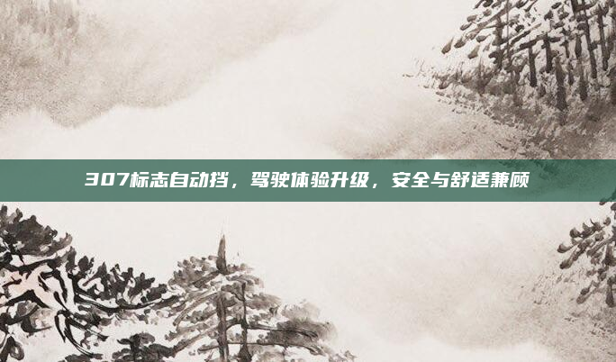 307标志自动挡，驾驶体验升级，安全与舒适兼顾