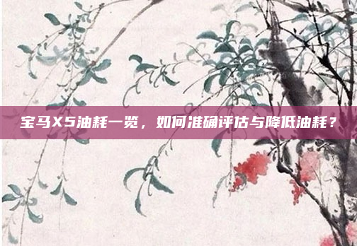 宝马X5油耗一览，如何准确评估与降低油耗？