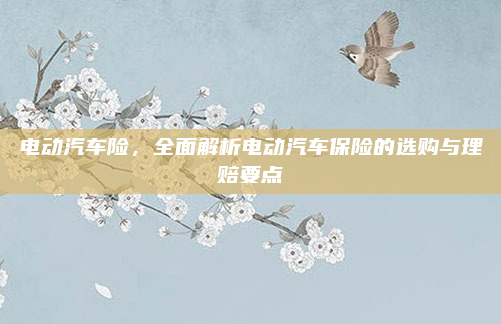 电动汽车险，全面解析电动汽车保险的选购与理赔要点