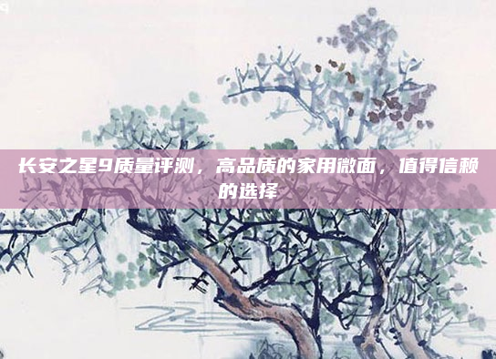 长安之星9质量评测，高品质的家用微面，值得信赖的选择
