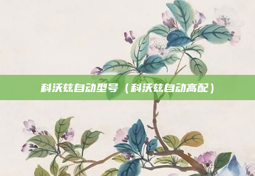 科沃兹自动型号(科沃兹自动高配)