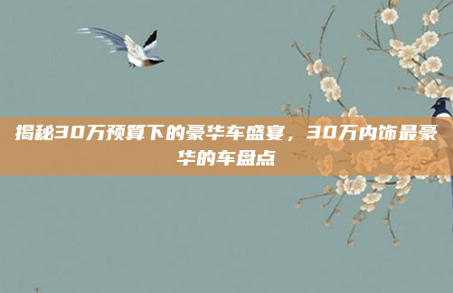 揭秘30万预算下的豪华车盛宴，30万内饰最豪华的车盘点