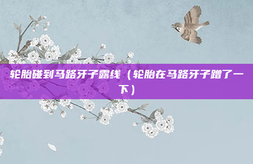 轮胎碰到马路牙子露线(轮胎在马路牙子蹭了一下)