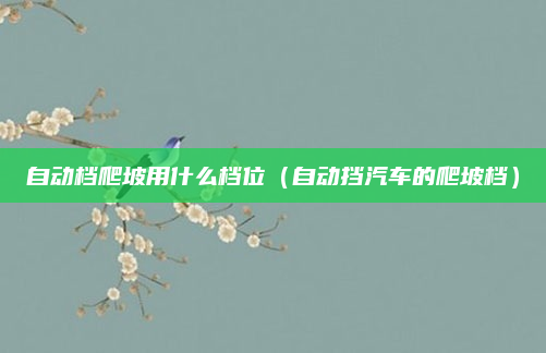 自动档爬坡用什么档位(自动挡汽车的爬坡档)