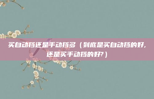 买自动挡还是手动挡多(到底是买自动挡的好,还是买手动挡的好?)