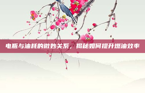 电瓶与油耗的微妙关系,揭秘如何提升燃油效率