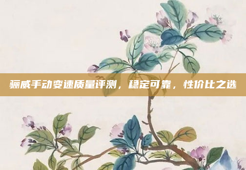 骊威手动变速质量评测,稳定可靠,性价比之选