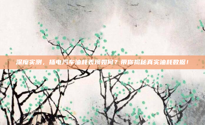 深度实测，插电汽车油耗表现如何？带你揭秘真实油耗数据！