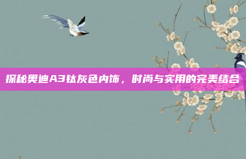 探秘奥迪A3钛灰色内饰，时尚与实用的完美结合