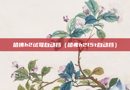 哈佛h2试驾自动挡（哈弗h215t自动挡）
