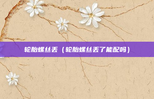 轮胎螺丝丢(轮胎螺丝丢了能配吗)