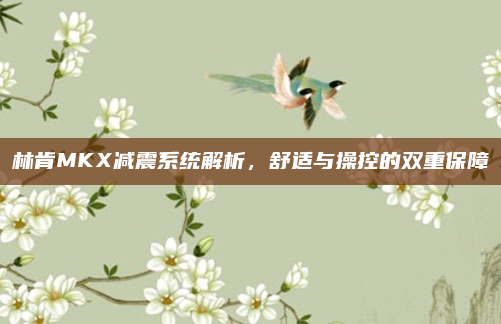 林肯MKX减震系统解析,舒适与操控的双重保障