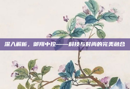 深入解析，御翔中控——科技与时尚的完美融合
