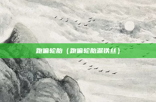 跑偏轮胎(跑偏轮胎漏铁丝)