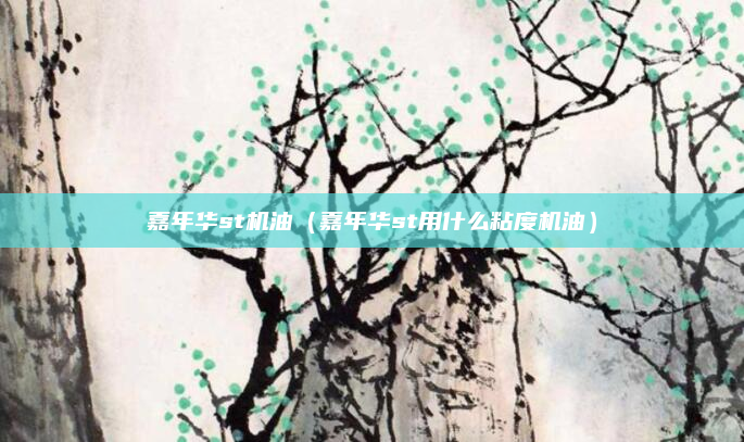 嘉年华st机油（嘉年华st用什么粘度机油）