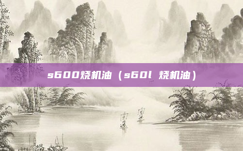 s600烧机油（s60l 烧机油）