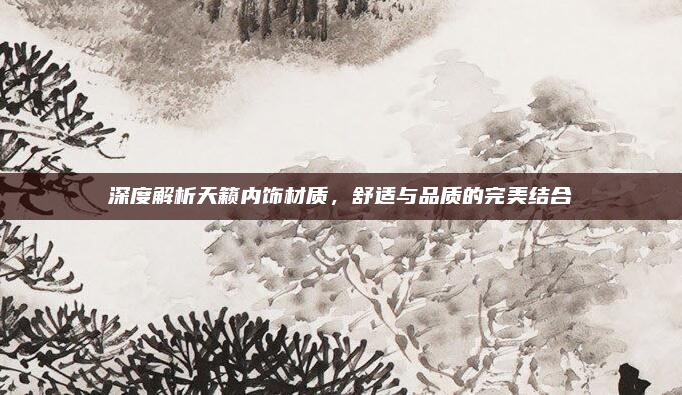 深度解析天籁内饰材质，舒适与品质的完美结合