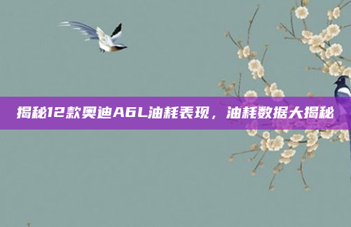 揭秘12款奥迪A6L油耗表现，油耗数据大揭秘