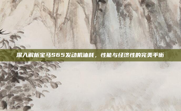 深入解析宝马S65发动机油耗，性能与经济性的完美平衡