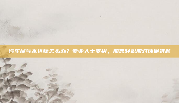 汽车尾气不达标怎么办？专业人士支招，助您轻松应对环保难题