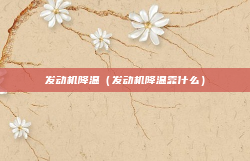 发动机降温(发动机降温靠什么)