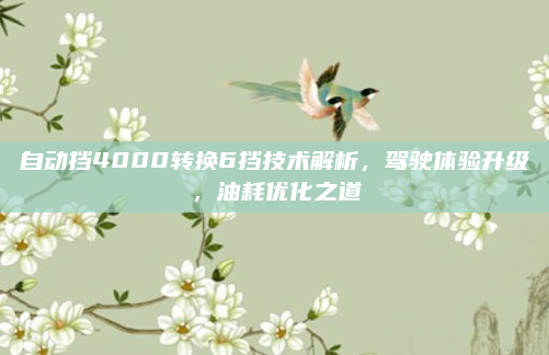 自动挡4000转换6挡技术解析,驾驶体验升级,油耗优化之道