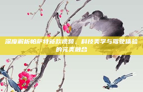 深度解析帕萨特新款视频,科技美学与驾驶体验的完美融合