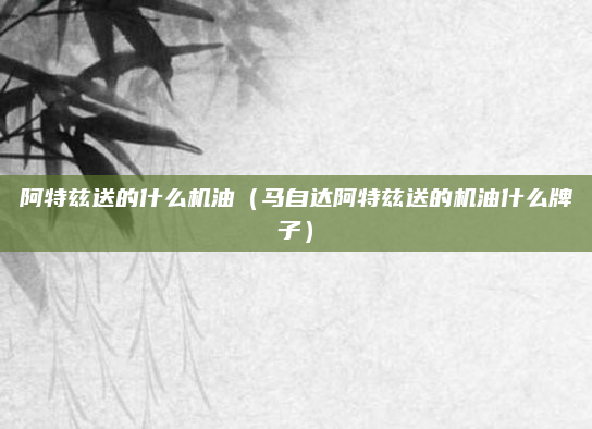 阿特兹送的什么机油(马自达阿特兹送的机油什么牌子)