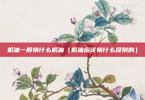 机油一般换什么机油(机油应该换什么级别的)