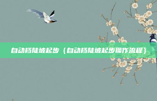 自动档陡坡起步(自动档陡坡起步操作流程)