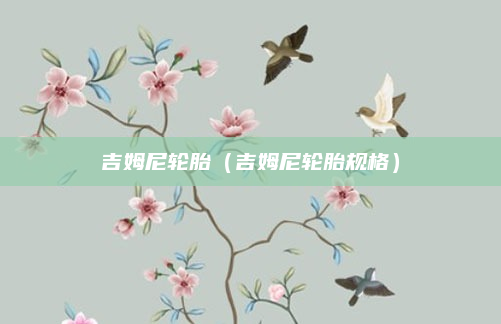 吉姆尼轮胎(吉姆尼轮胎规格)