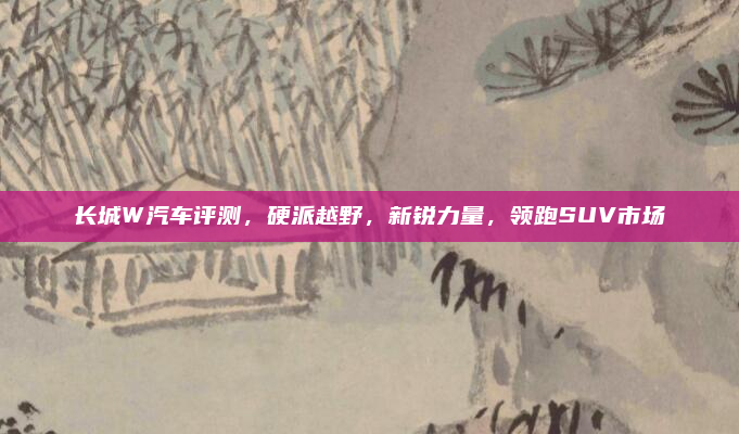 长城W汽车评测，硬派越野，新锐力量，领跑SUV市场