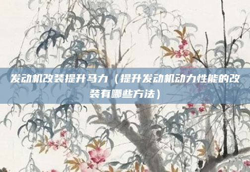 发动机改装提升马力(提升发动机动力性能的改装有哪些方法)