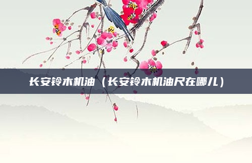 长安铃木机油（长安铃木机油尺在哪儿）