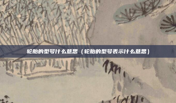 轮胎的型号什么意思(轮胎的型号表示什么意思)
