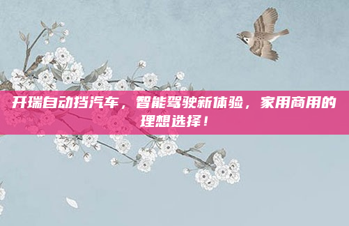 开瑞自动挡汽车,智能驾驶新体验,家用商用的理想选择!