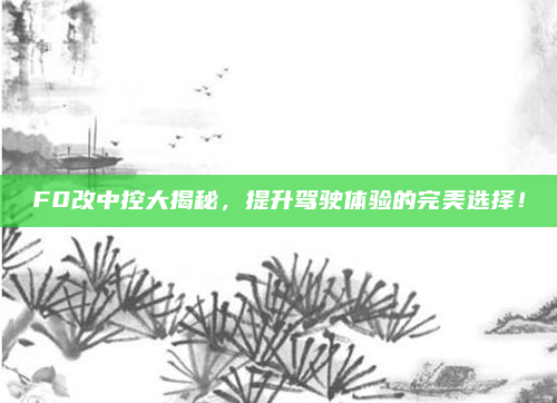 F0改中控大揭秘,提升驾驶体验的完美选择!