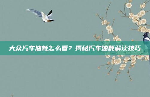 大众汽车油耗怎么看?揭秘汽车油耗解读技巧