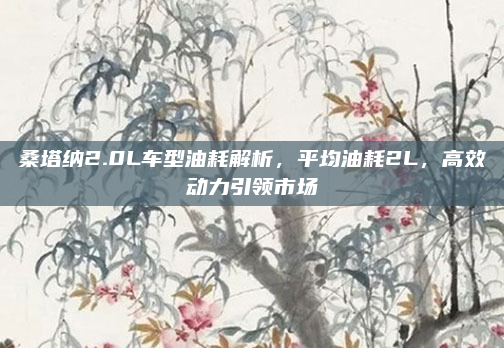 桑塔纳2.0L车型油耗解析,平均油耗2L,高效动力引领市场