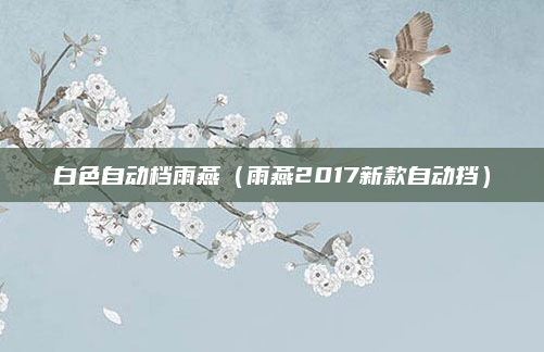 白色自动档雨燕(雨燕2017新款自动挡)