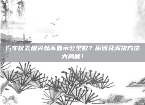 汽车仪表盘突然不显示公里数？原因及解决方法大揭秘！