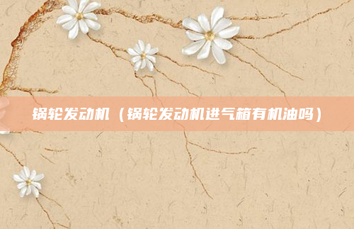 锅轮发动机(锅轮发动机进气箱有机油吗)