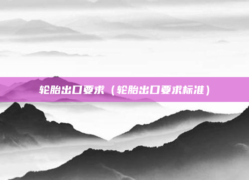 轮胎出口要求(轮胎出口要求标准)