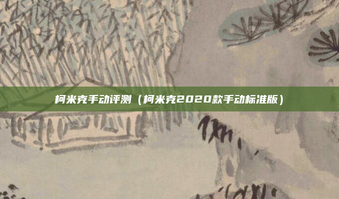 柯米克手动评测（柯米克2020款手动标准版）