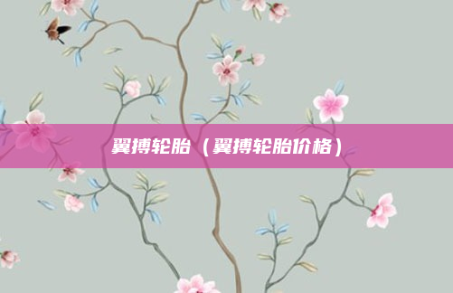 翼搏轮胎（翼搏轮胎价格）