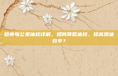 哈弗每公里油耗详解，如何降低油耗，提高燃油效率？