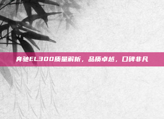 奔驰EL300质量解析，品质卓越，口碑非凡