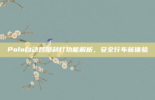 Polo自动挡脚刹灯功能解析,安全行车新体验