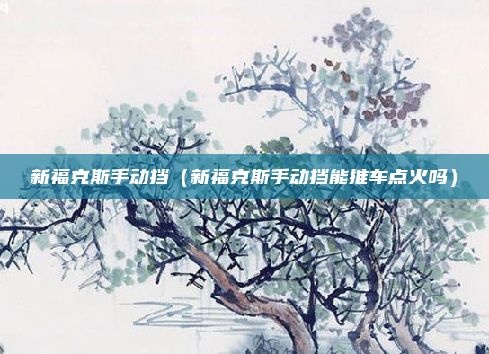 新福克斯手动挡(新福克斯手动挡能推车点火吗)